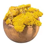 بومادران سرشاخه گلدار معطر ضدعفونت و ضداسپاسم و التیام‌بخش زخم گیاه دارو