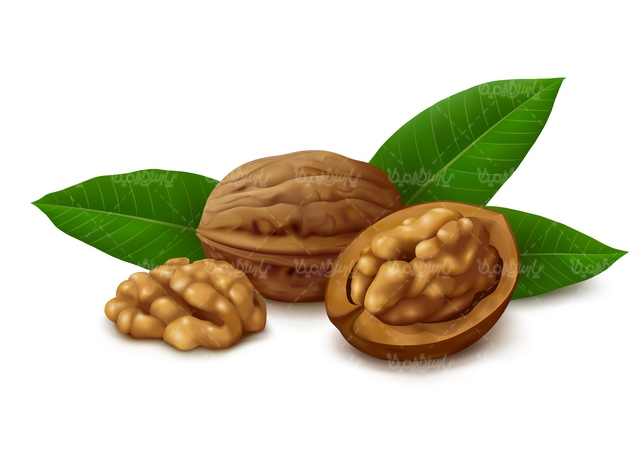 image-icon-menu