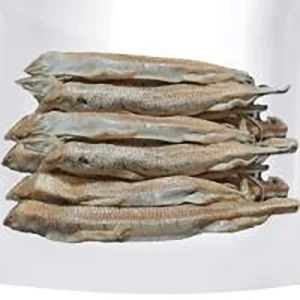 ماهی سمنقور