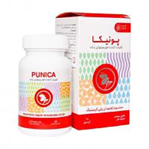 کپسول پونیکا شرکتی